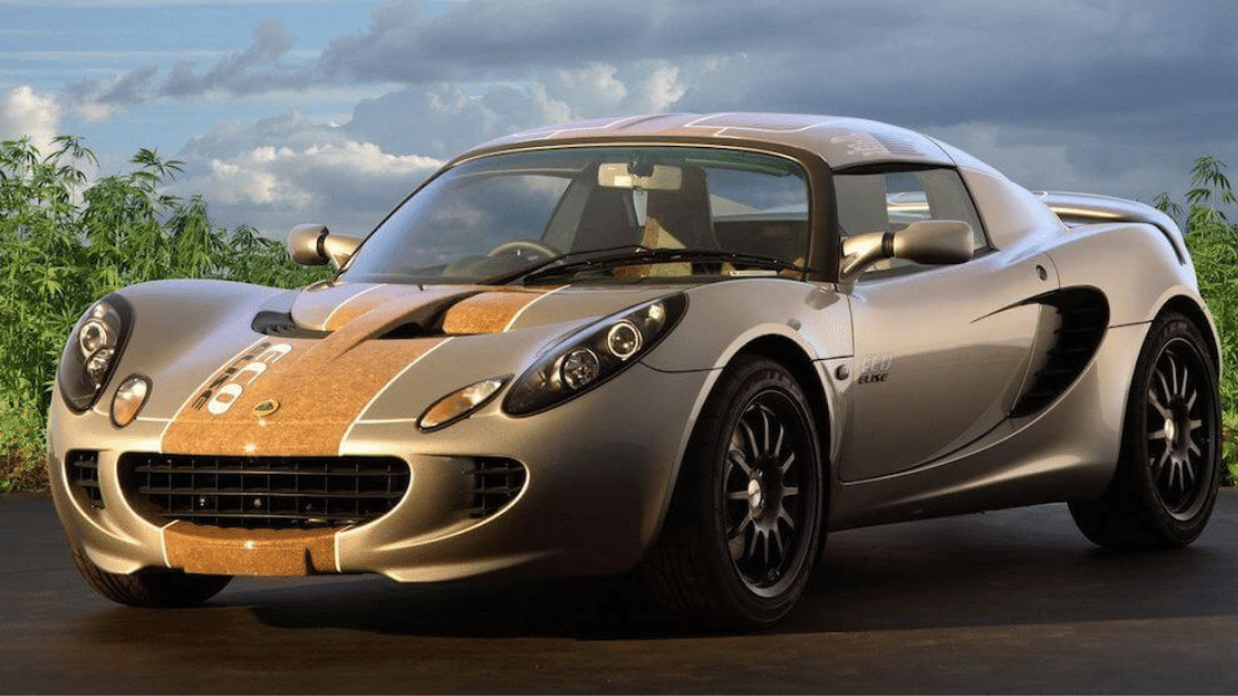 Blue Sky Hemp Fibre 1