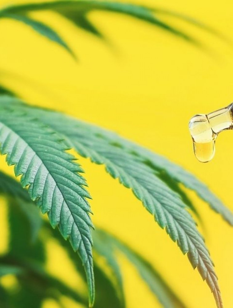 Cannabis Carrier Oils 1